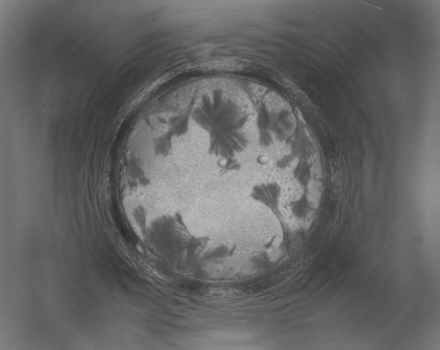 X0000052970487200507300141