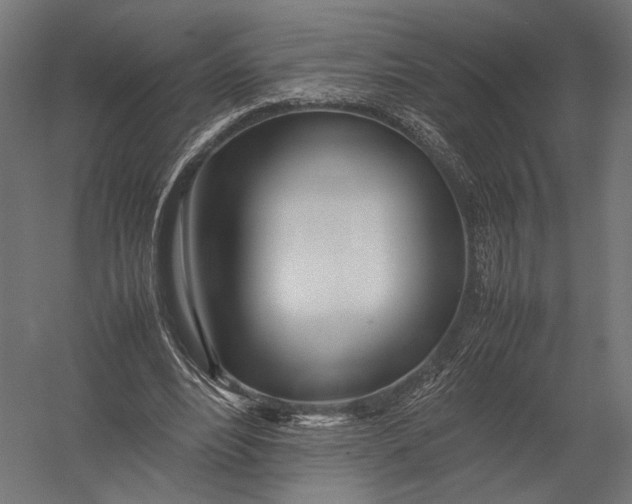 X0000052970488200507300141