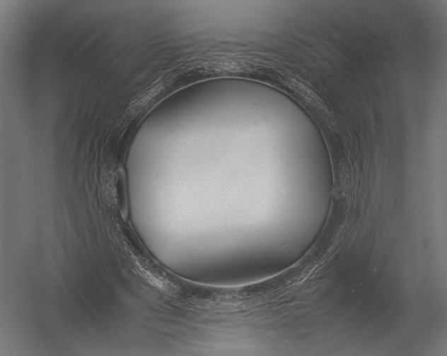 X0000052970489200507300141