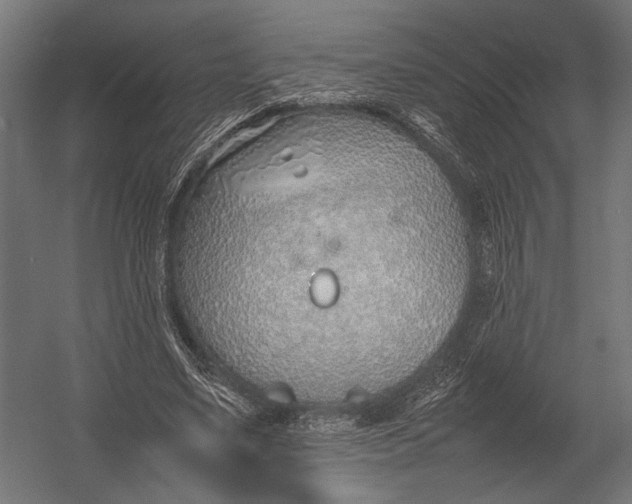 X0000052970491200507300141