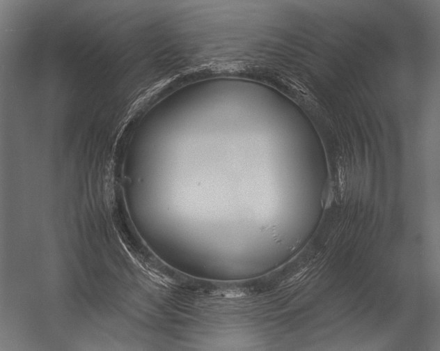 X0000052970492200507300141