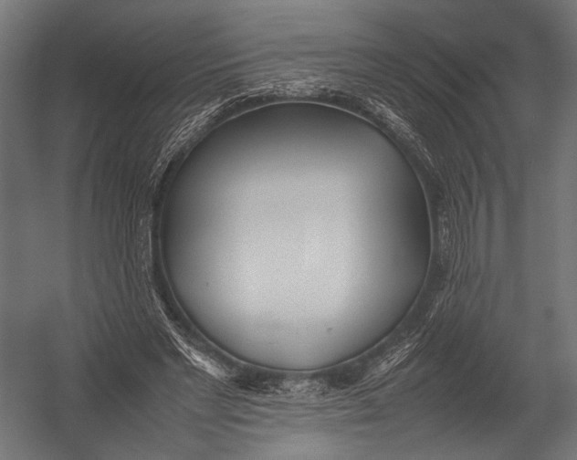 X0000052970493200507300141