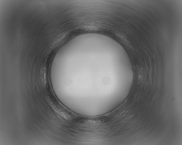 X0000052970494200507300141