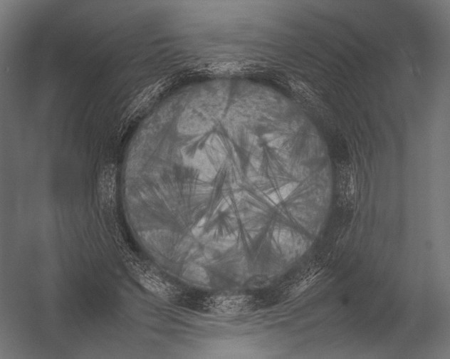 X0000052970495200507300141