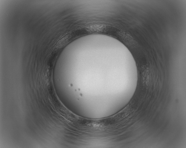 X0000052970498200507300141