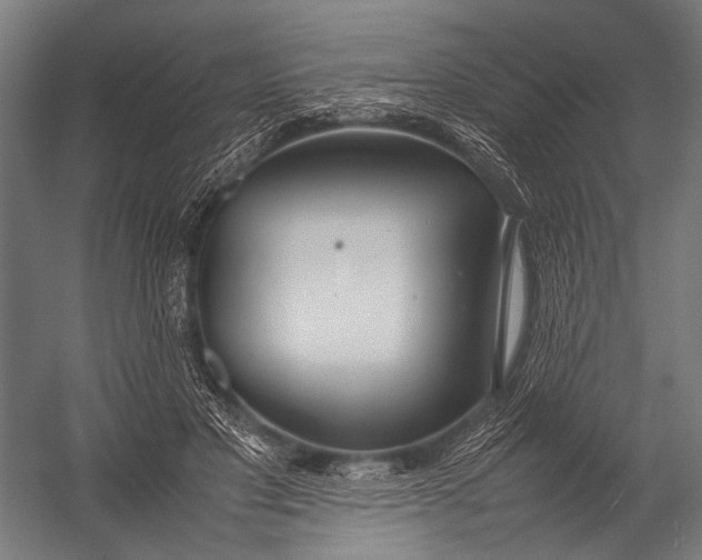 X0000052970501200507300141