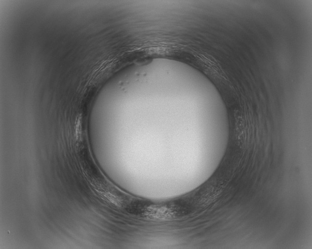 X0000052970502200507300141