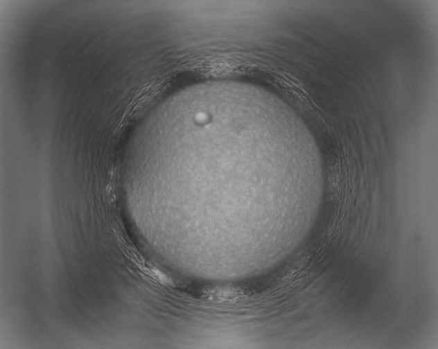 X0000052970503200507300141