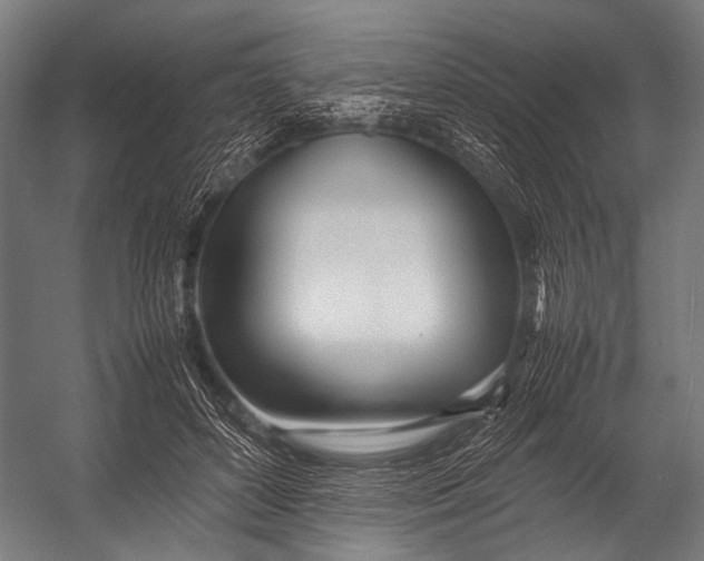 X0000052970504200507300141