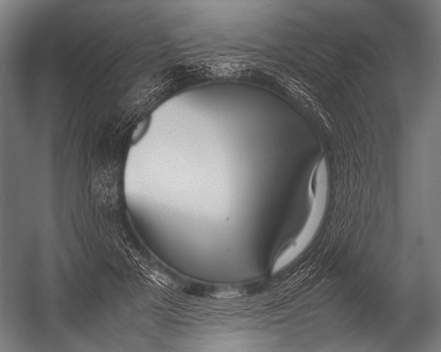 X0000052970505200507300141