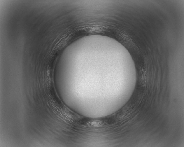 X0000052970506200507300141