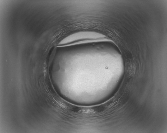 X0000052970507200507300141