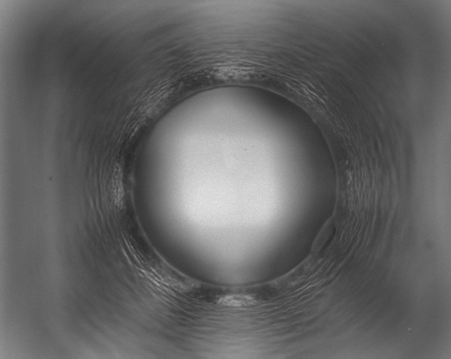 X0000052970508200507300141