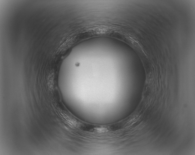 X0000052970509200507300141