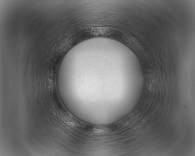 X0000052970510200507300141