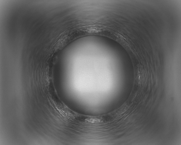 X0000052970512200507300141