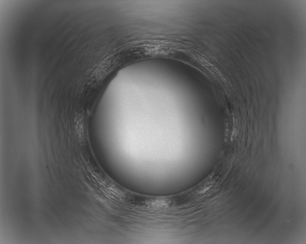 X0000052970513200507300141