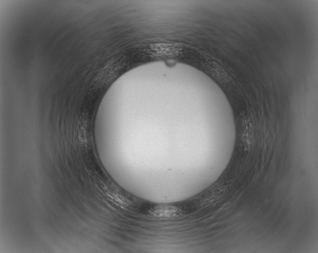 X0000052970514200507300141