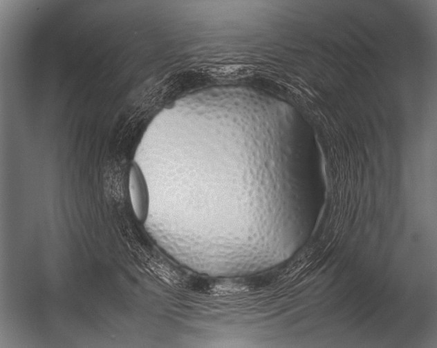 X0000052970515200507300141