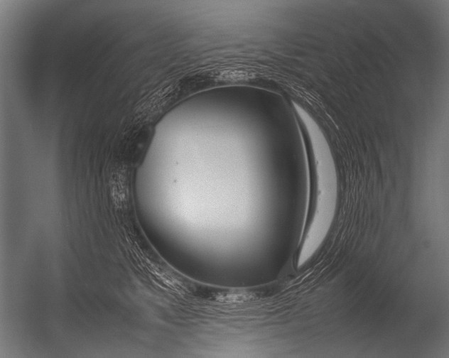 X0000052970517200507300141