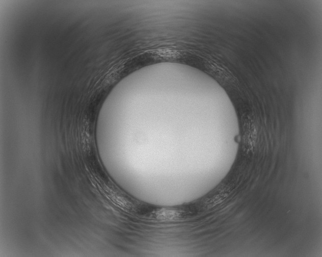 X0000052970518200507300141