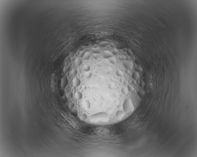 X0000052970519200507300141