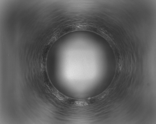 X0000052970520200507300141