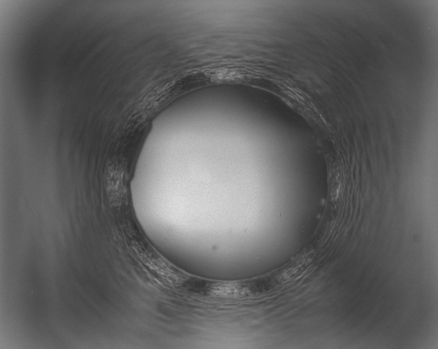 X0000052970521200507300141