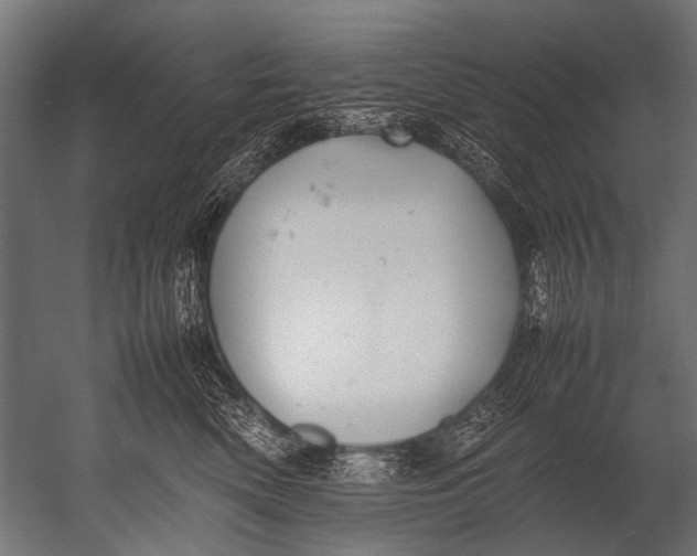 X0000052970522200507300141