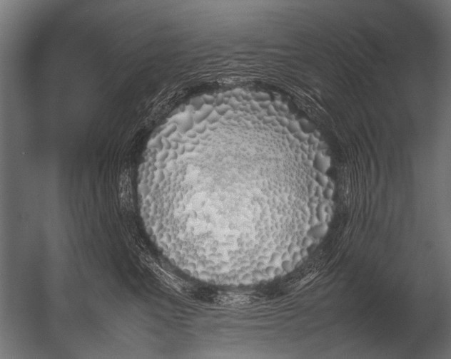 X0000052970523200507300141