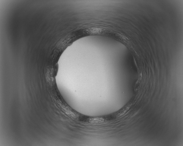 X0000052970525200507300141