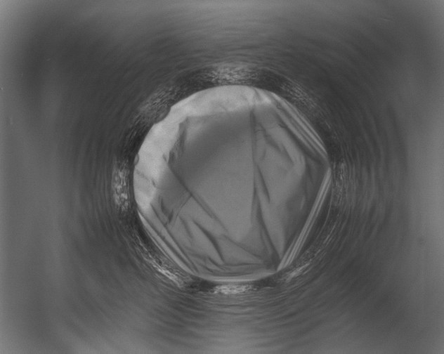 X0000052970526200507300141