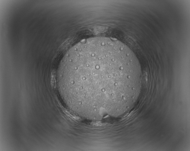 X0000052970527200507300140