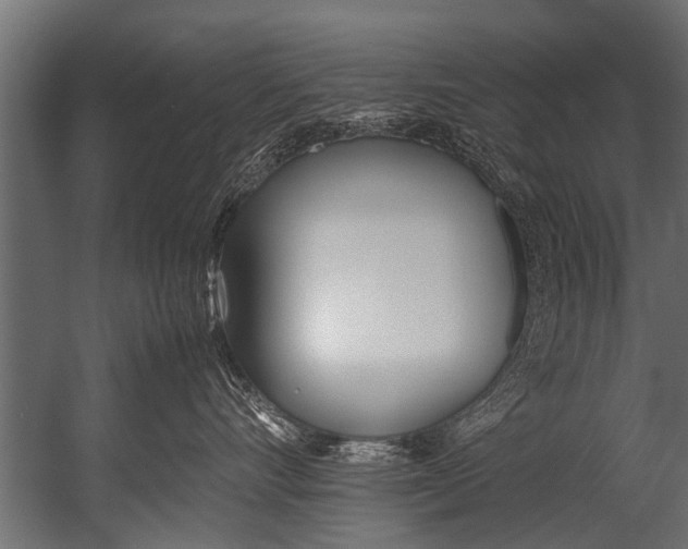 X0000052970528200507300140