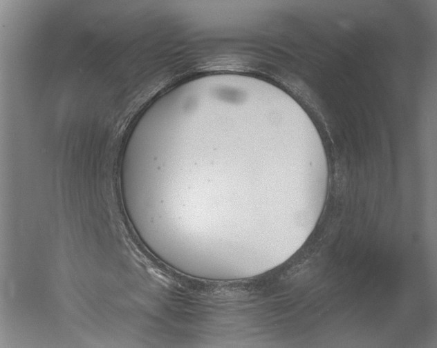 X0000052970529200507300140