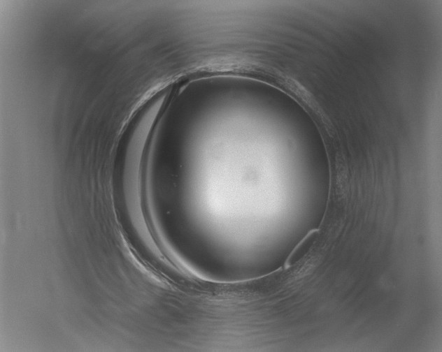 X0000052970530200507300140