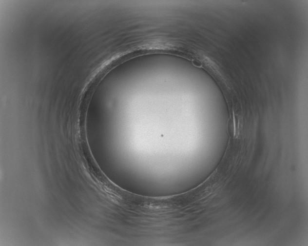 X0000052970531200507300140