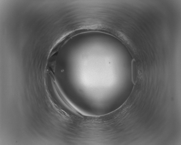 X0000052970532200507300140