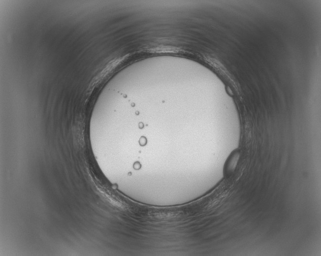 X0000052970533200507300140