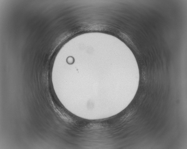 X0000052970534200507300140