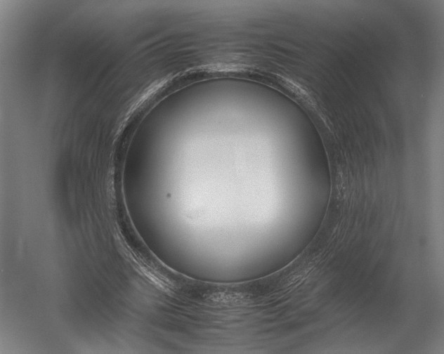 X0000052970535200507300140