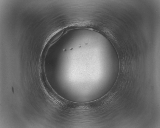 X0000052970536200507300140