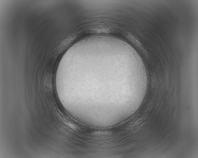 X0000052970537200507300140