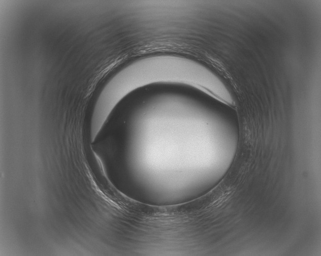 X0000052970538200507300140