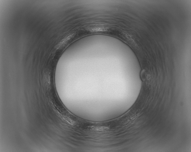 X0000052970539200507300140