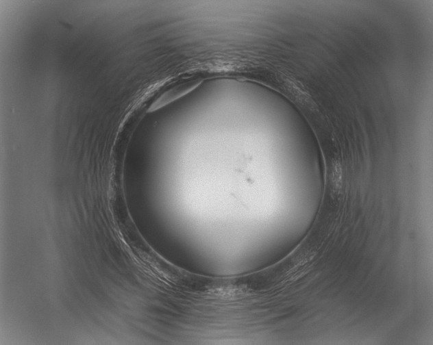 X0000052970540200507300140