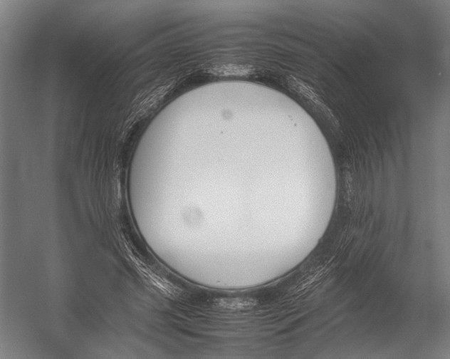 X0000052970541200507300140