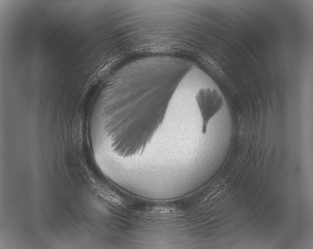 X0000052970542200507300140