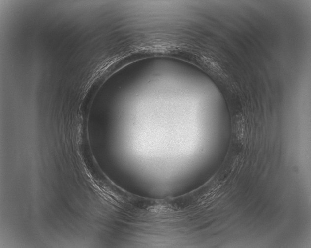 X0000052970544200507300140