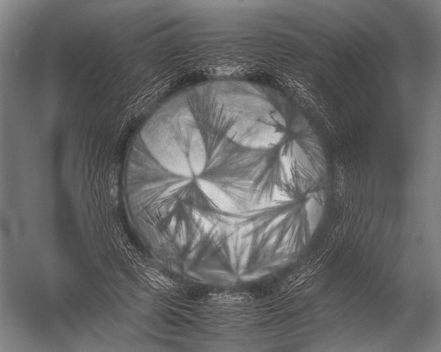 X0000052970545200507300140